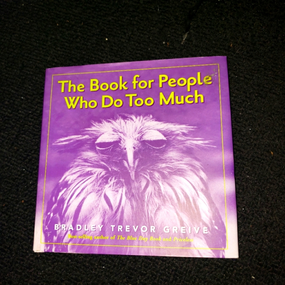 The Book For People Who Do Too Much by Bradley Trevor Greive